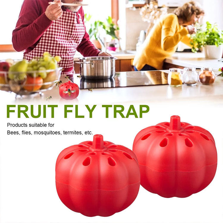 Small Pumpkin Fruit Fly Trap Fly Insect Trap