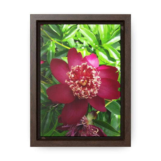 Vertical Framed Premium Gallery Wrap Canvas